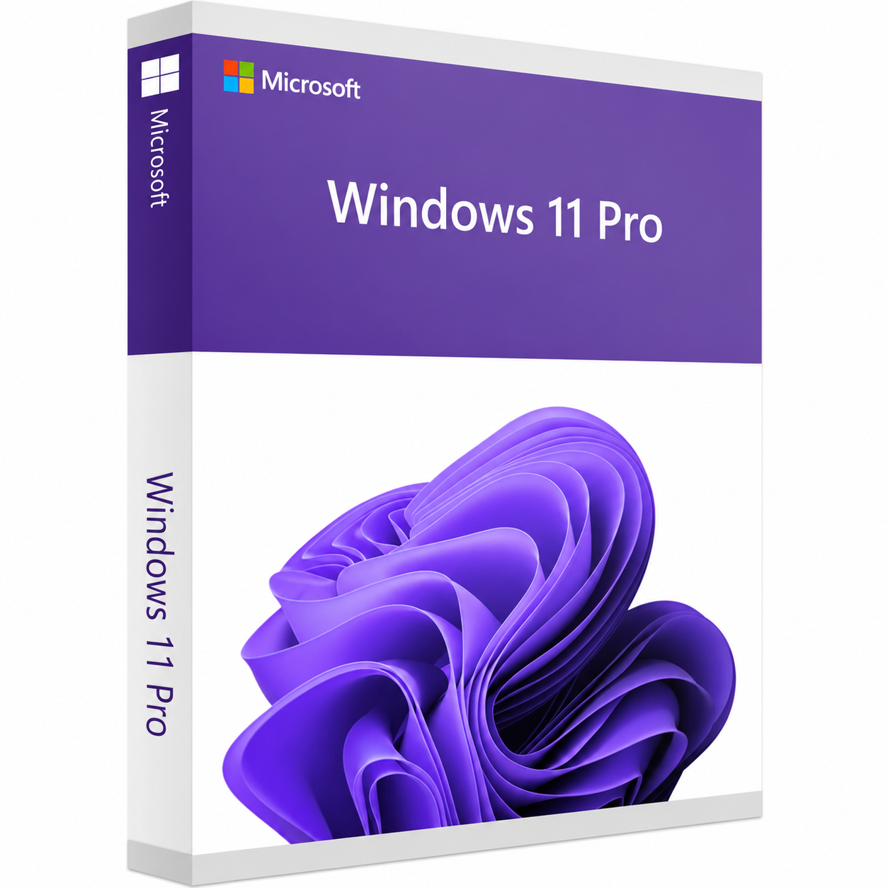 Windows 11 Professionnel (Pro)