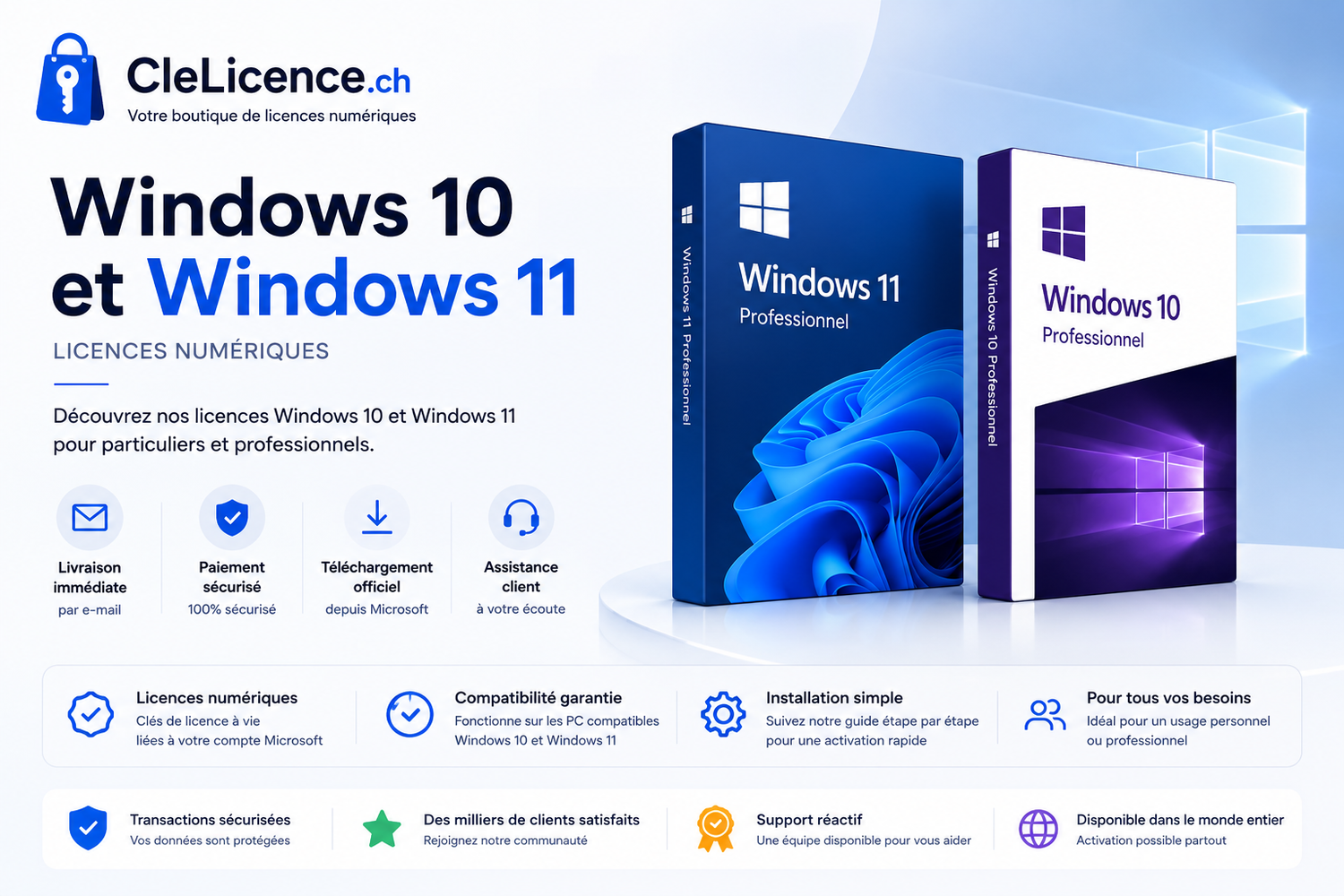 Microsoft Windows 11 Professionnel