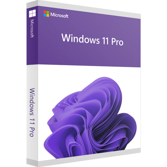 Microsoft Windows 11 Pro (Professionnel)