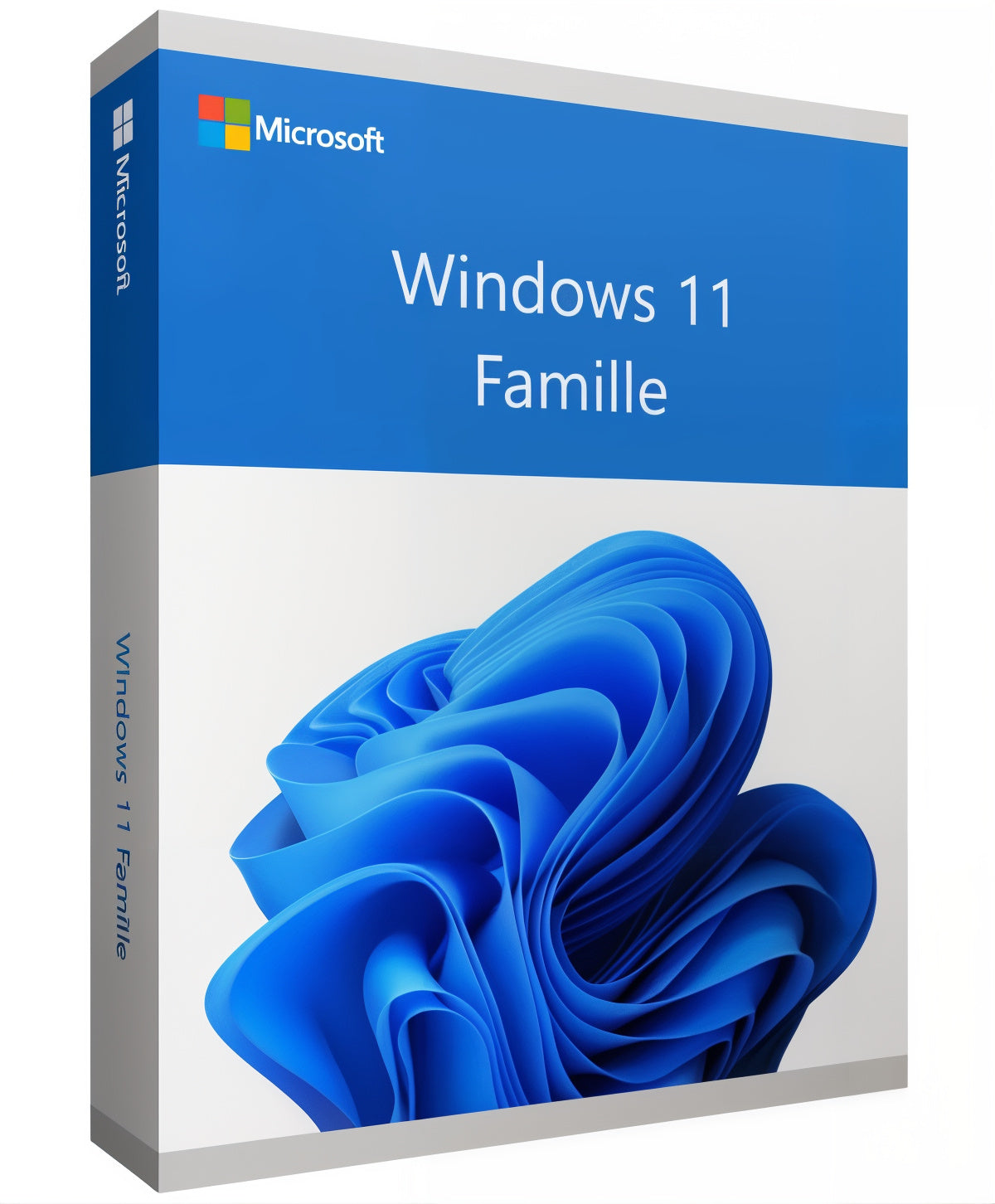 Microsoft Windows 11 Famille (Home)